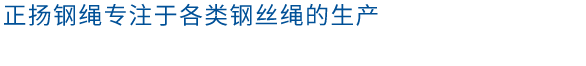 鍍鋅鋼絞線.png